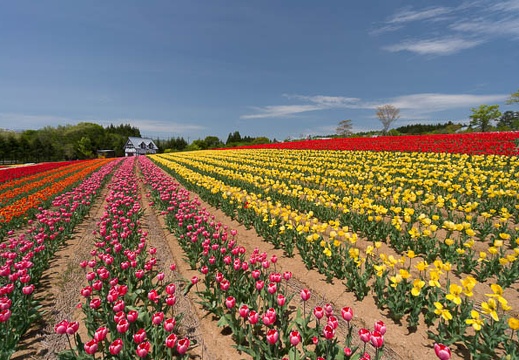 201505141257-DSC01700N5R.jpg