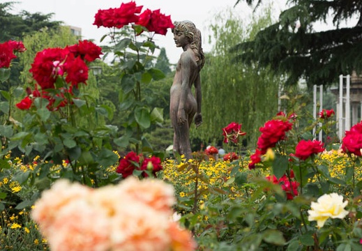 201505181120-DSC01171.jpg