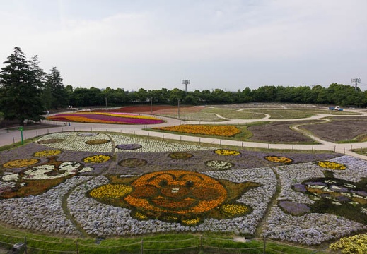 201505281703-DSC00948R10.jpg