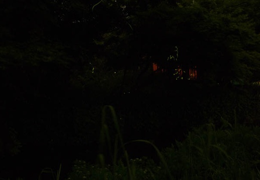 201505282031-DSC01086R10.jpg