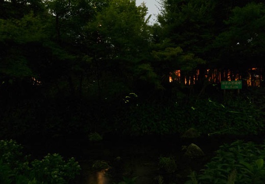201505282047-DSC01100R10.jpg