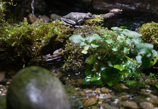 201505291142-DSC04713N6.jpg