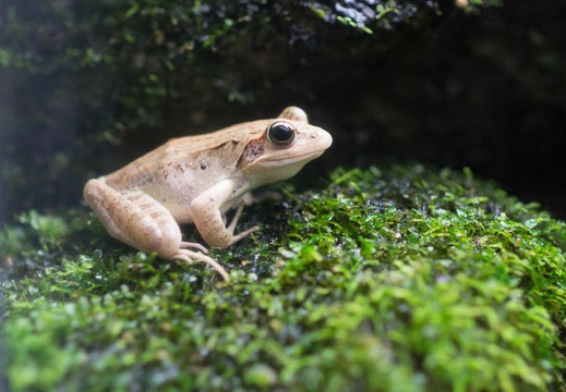 201505291155-DSC02459.jpg