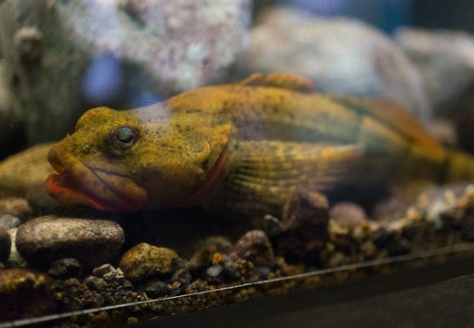 201505291209-DSC04760N6.jpg