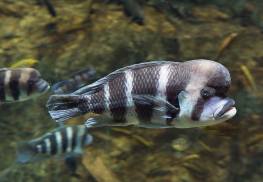 201505291234-DSC02556.jpg