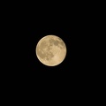 201506032145-DSC06629.jpg