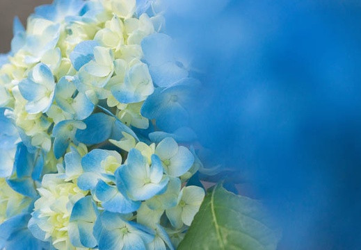 201506040653-DSC06722.jpg