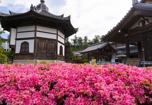 201506040840-DSC04987N6.jpg