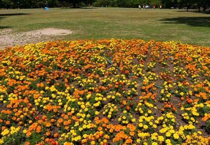 201506061027-DSC05463N6.jpg
