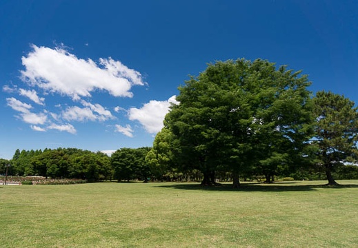 201506061030-DSC05468N6.jpg