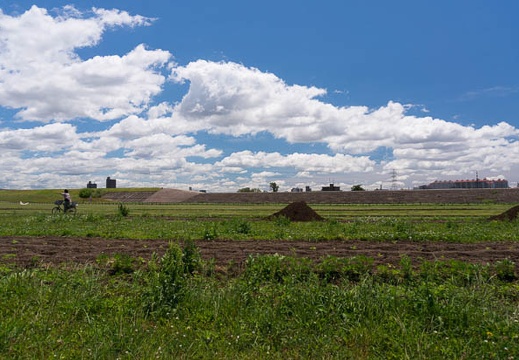 201506061111-DSC05476N6.jpg