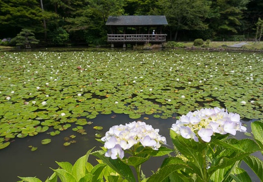 201506071048-DSC05542N6.jpg