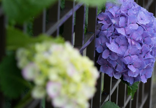 201506091041-DSC01304R10.jpg