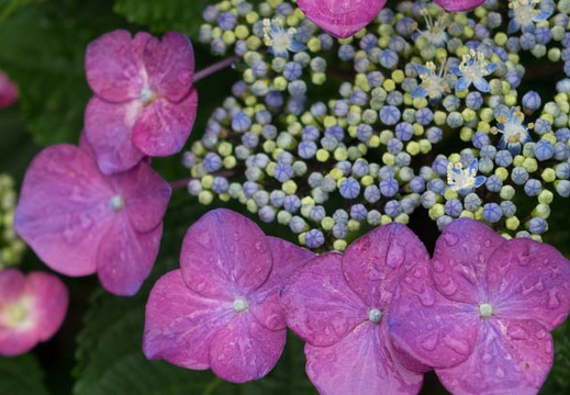 201506091051-DSC01330R10.jpg