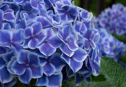 201506091056-DSC01348R10.jpg
