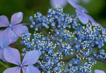201506091146-DSC01521R10.jpg