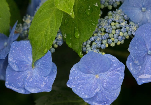 201506091200-DSC01573R10.jpg