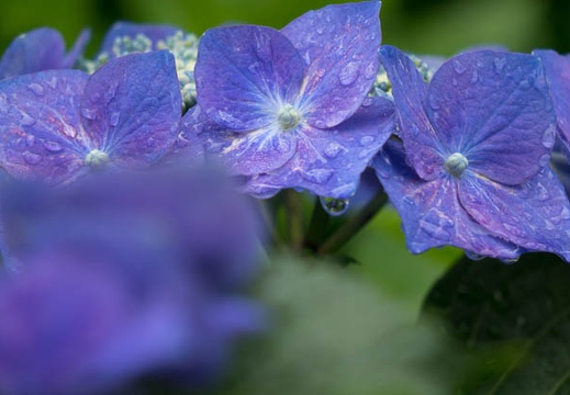 201506091205-DSC01584R10.jpg
