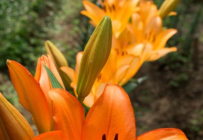 201506171112-DSC05612N6.jpg