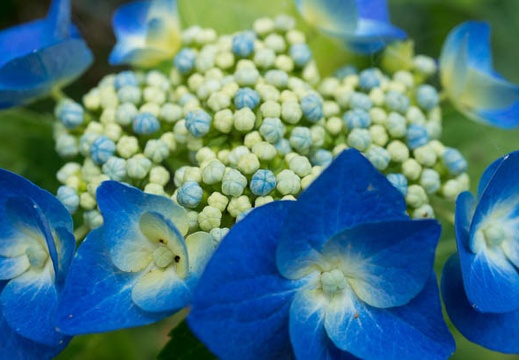 201506171136-DSC05644N6.jpg