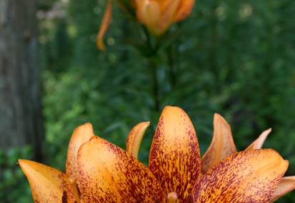 201506171145-DSC05658N6.jpg