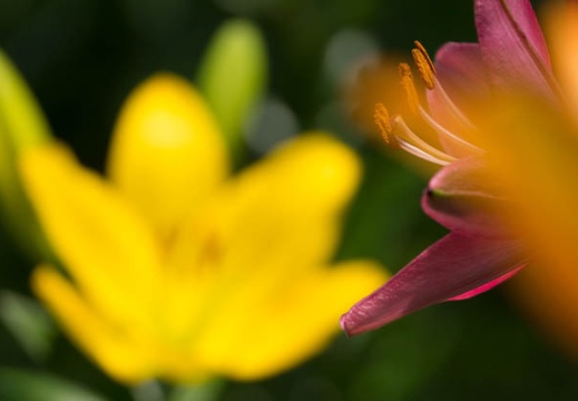 201506171154-DSC08802.jpg