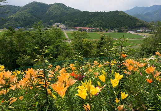 201506171234-DSC01954N5R.jpg