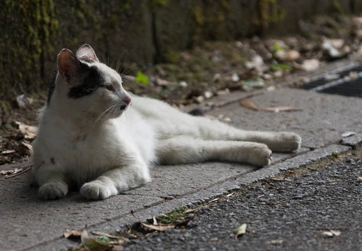 201506171414-DSC08899.jpg