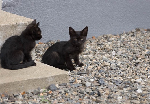 201506171425-DSC08920.jpg