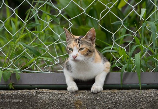 201506171428-DSC08933.jpg