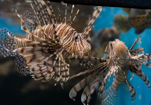 201506211000-DSC09084.jpg