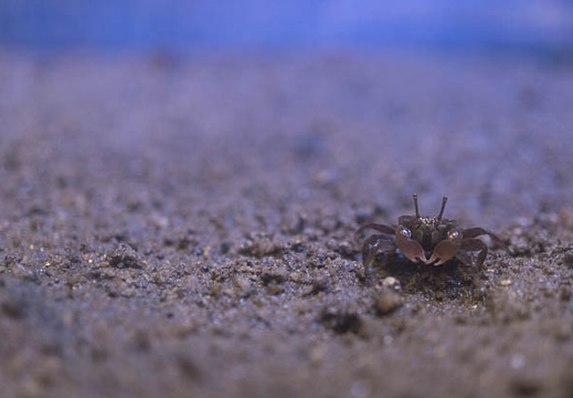 201506211010-DSC05835N6.jpg