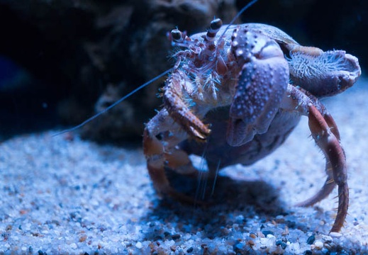 201506211022-DSC05864N6.jpg