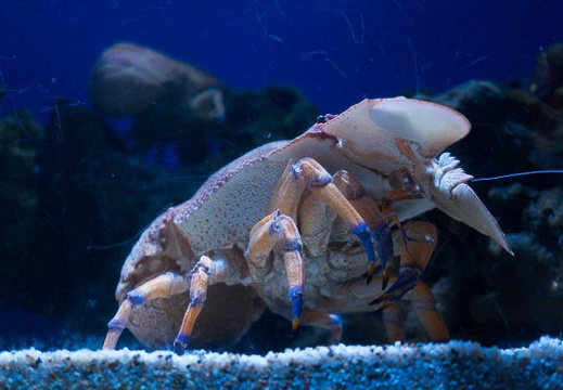 201506211038-DSC05903N6.jpg