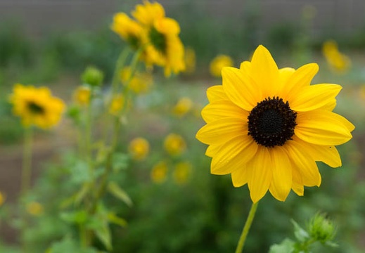 201506211116-DSC09296.jpg