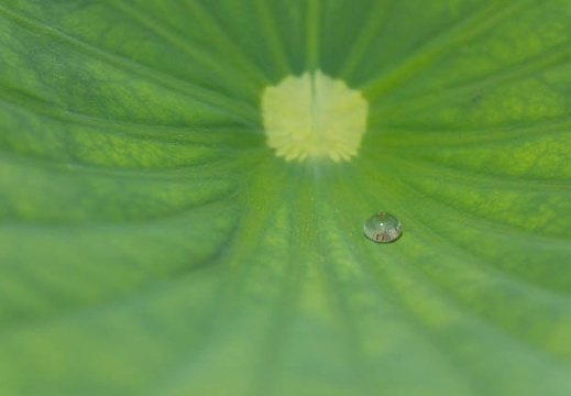 201506221052-DSC09584.jpg