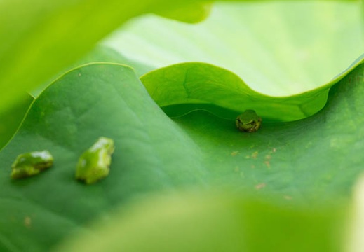 201506221100-DSC09608.jpg