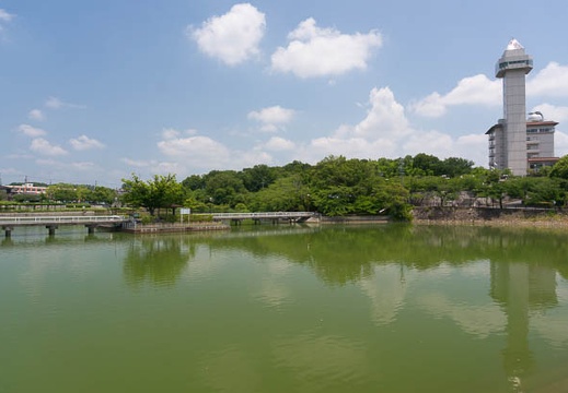 201506231204-DSC05995N6.jpg