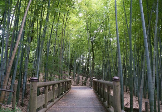 201506231230-DSC06020N6.jpg
