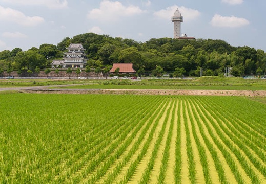 201506231253-DSC06048N6.jpg