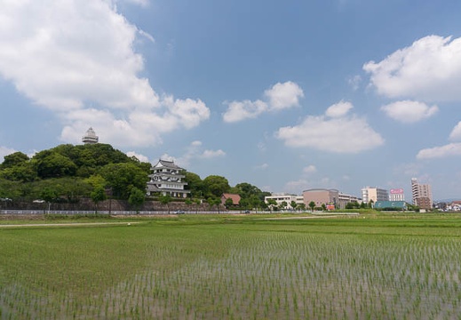 201506231304-DSC06060N6.jpg