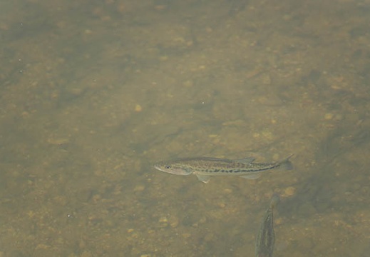201506231528-DSC00112.jpg