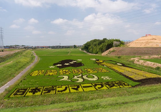 201506251049-DSC06082N6.jpg