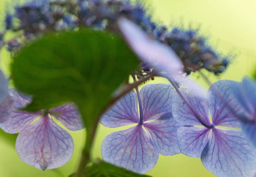 201506251201-DSC00298.jpg