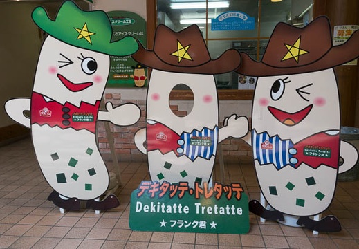 201506251246-DSC06183N6.jpg