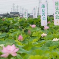 201506301055-DSC00483.jpg