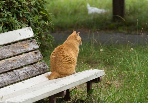 201506301347-DSC00700.jpg