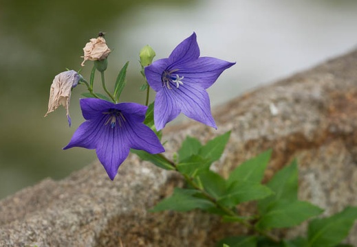 201506301459-DSC00740.jpg