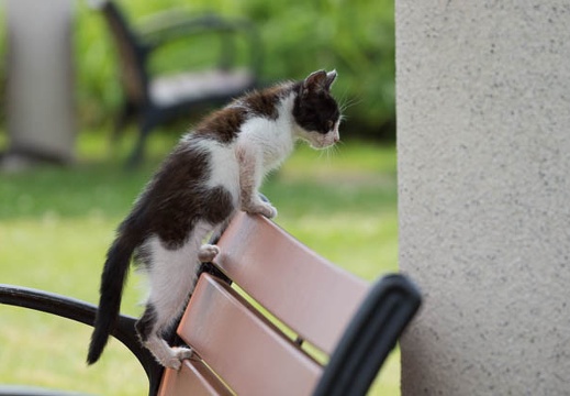 201507021340-DSC00818.jpg