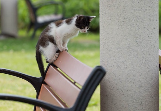 201507021340-DSC00821.jpg